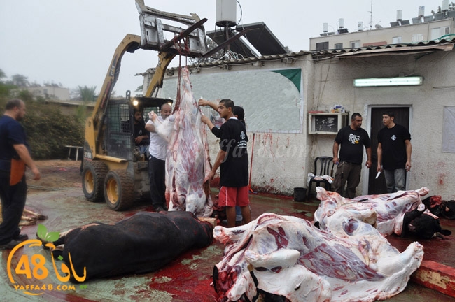 ada7y mashrot3 (4).JPG